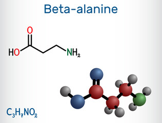 Beta-alanine or β-Alanine molecule. It is naturally occurring beta amino acid. Structural chemical formula and molecule model.