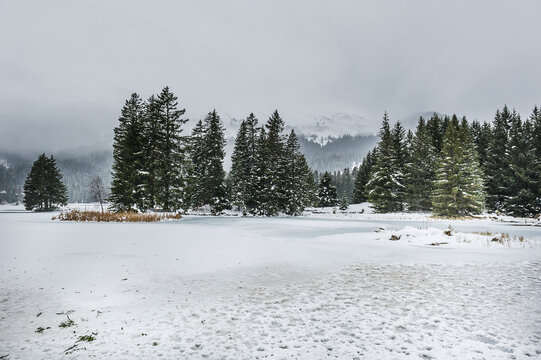 Lenzerheide, Valbella, Heidsee, Bergsee, Uferweg, Wanderweg, Winterwanderung, Langlauf, Loipe, Winterlandschaft, Seeufer, Alpen, Wald, Tannen, Eis, Schnee, Schneefall, Winter, Graub&uuml;nden, Schweiz