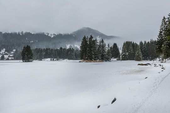 Lenzerheide, Valbella, Heidsee, Bergsee, Uferweg, Wanderweg, Winterwanderung, Langlauf, Loipe, Winterlandschaft, Seeufer, Alpen, Wald, Tannen, Eis, Nebel, Winter, Graub&uuml;nden, Schweiz
