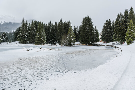 Lenzerheide, Valbella, Heidsee, Bergsee, Uferweg, Wanderweg, Winterwanderung, Langlauf, Loipe, Winterlandschaft, Seeufer, Alpen, Wald, Tannen, Eis, Schnee, Schneefall, Winter, Graub&uuml;nden, Schweiz