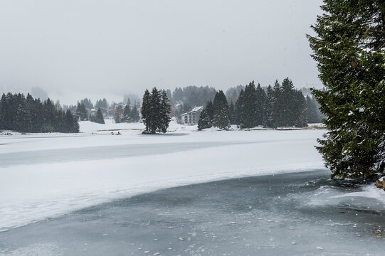 Lenzerheide, Valbella, Heidsee, Bergsee, Uferweg, Wanderweg, Winterwanderung, Langlauf, Loipe, Winterlandschaft, Seeufer, Alpen, Wald, Tannen, Eis, Schnee, Schneefall, Winter, Graub&uuml;nden, Schweiz