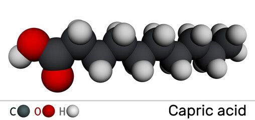 Capric acid, decanoic acid or decylic acid molecule. It is saturated fatty acid. Molecular model. 3D rendering