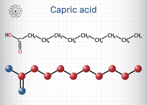Capric acid, decanoic acid or decylic acid molecule. It is saturated fatty acid. Structural chemical formula, molecule model. Sheet of paper in a cage. Vector illustration