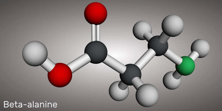 Beta-alanine or &beta;-Alanine molecule. It is naturally occurring beta amino acid. Molecular model. 3D rendering