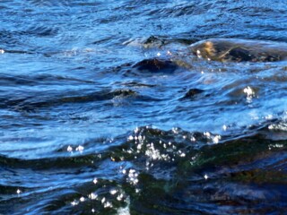 Water Liquid Fluid Watercourse Lake Wind wave
