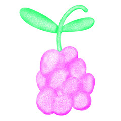 grape