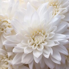 Macro of white chrysanthemum petals, AI generator