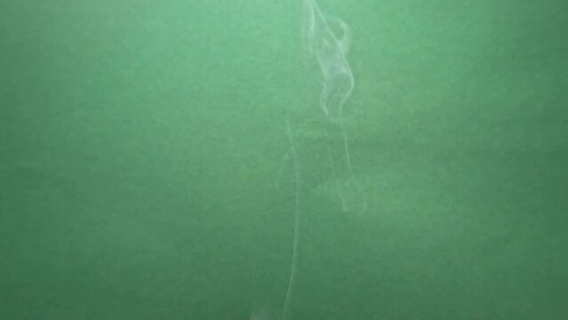 Smoke from incense sticks against green background