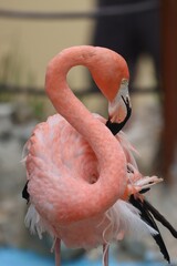 Costa Maya, Mexico