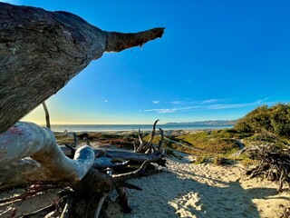 Winter on the California Central Coast