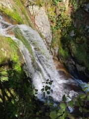 waterfall in the forest
