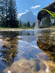 mountain river in autumn