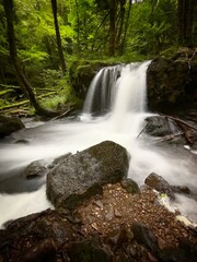 waterfall in the forest