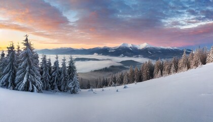Fototapeta na wymiar christmas postcard panoramic winter view of carpathian mountains with snow covered fir trees foggy sunrise on the mountain valley happy new year celebration concept
