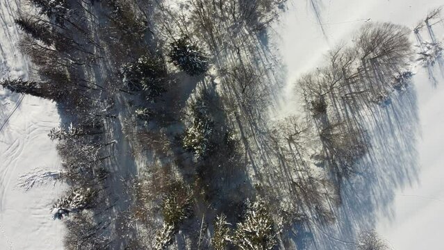 Podhalański las pokryty śniegiem z góry - 4K