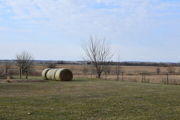 Hay Bales in a Farm Field