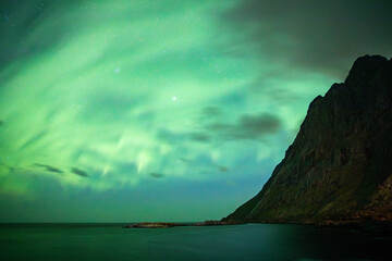 Northern lights in Lofoten Islands, Norway