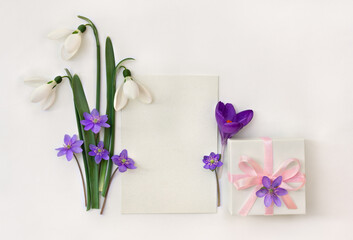 Spring decoration. Paper card note with space for text, gift box, white snowdrops, flowers hepatica, violet crocus on a light background. Top view, flat lay