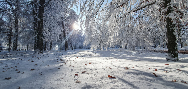 Bad Aibling, Deutschland: Strahlender Wintertag im Park