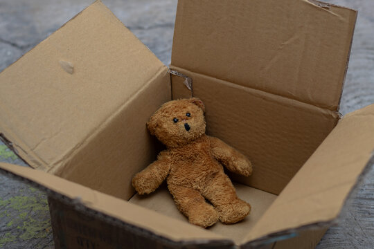 Oso de peluche en una caja de cart&oacute;n