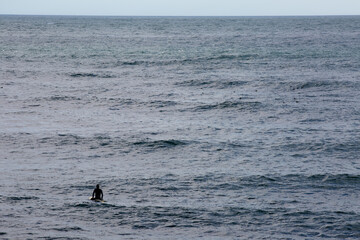 Obraz premium A lone surfer silhouette sitting alone in the ocean waves. Depicting solitude, meditation, lonely, peacefulness. Montauk Point State Park, Long Island, New York