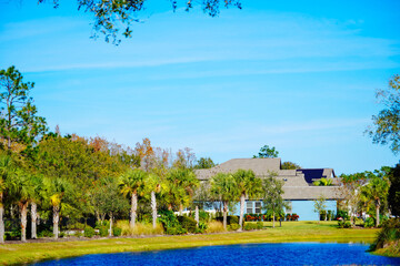 A Florida community pond in winter	
