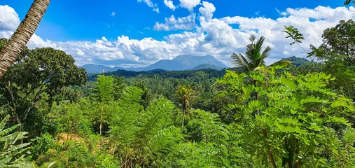 Foto op Plexiglas Randeniya, Sri Lanka: Blick auf die Berge der Zentralprovinz © KK imaging
