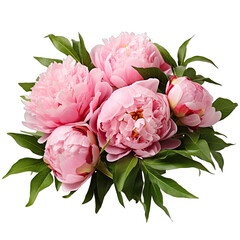 Peony Flower Bouquet Capturing the Beauty of Peonies With Leaves in a Natural Arrangement.. Isolated on a Transparent Background. Cutout PNG.