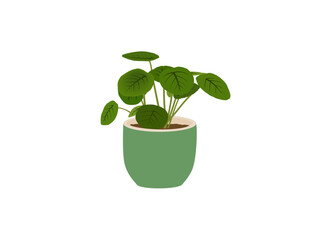 plants  vector icon . Increase cultivated areas. Farmlands abstract idea thin line illustration. Vector illustration Planting  acres green gradient concept icon. Arable lands growth. Pro vector