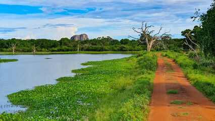 Yala Nationalpark, Sri Lanka: Malerische Landschaft vor dem Elephant Rock