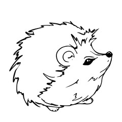 Line sketch, doodles of a hedgehog. Vector graphics.