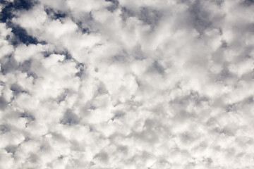 Low level Stratocumulus clouds over Phoenix - obrazy, fototapety, plakaty