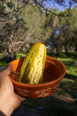 personal view of man holding boiled corn on traditional mexican plate