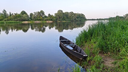 Naklejka na ściany i meble A wooden boat with benches moored to the grassy shore has gained water. There is aquatic vegetation in the water. The trees growing on the opposite sandy river bank are reflected in the water
