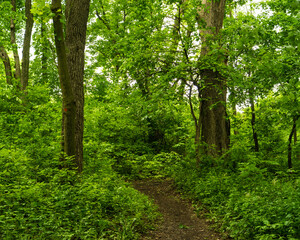 Enjoying the summer in Quebec