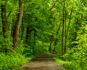 Enjoying the summer in Quebec