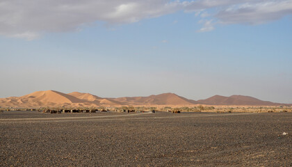 Fototapeta na wymiar A wide view of a nomadic settlement and sand dunes of the Sahara Desert, Morocco.