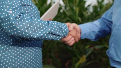 agriculture, farmers handshake field, business corn farm, farmer working tablet with partner, business handshake, yellow, ground, raw, food, leaf, finger sapling, owner, people, season, information