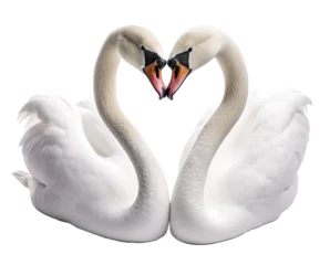 Tuinposter Two swans forming a heart shape with their necks © EOL STUDIOS