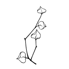 Sketch of a spring branch with shoots.Vector graphics.