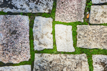Rustic Stone Slabs and Green Moss Pathway Texture Top-Down View
