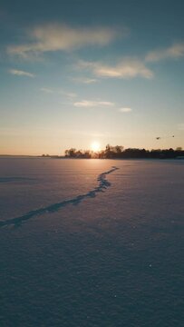 footprint on white fresh snow at sunny winter weather, animal trace on snowy frozen surface of lake 4k, vertical video