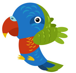 Cartoon australian animal bird parrot on white background illustration for children