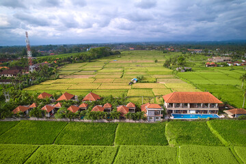 An aerial view of buildings in a rice field. A hotel complex with villas on a paddy plantation on the island of Bali.