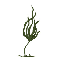 Fototapeta na wymiar Green seaweed. Botanical element.Vector graphics.