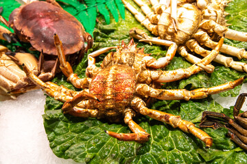 Live Mediterranean Crabs on Lettuce: Ready for Sale and Preparation