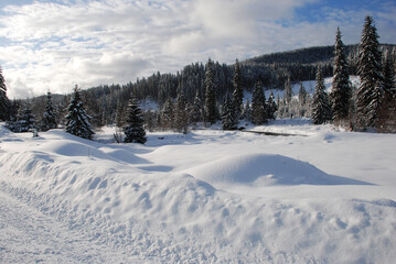 Winter landscape near Comandau village, Romania