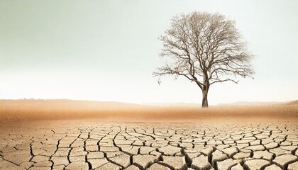  Terre craquelée par la sécheresse. Concept de réchauffement climatique - obrazy, fototapety, plakaty