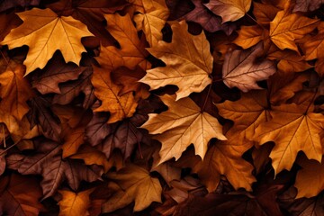 Naklejka na ściany i meble Generative AI image of many fall leaves are arranged in a layer