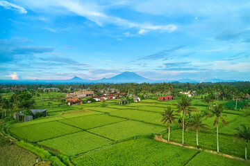Panorama of Mount Agung and rice fields on the island of Bali.